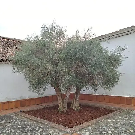 Casa De Campo En - Cuenca Landhaus Villalba de la Sierra